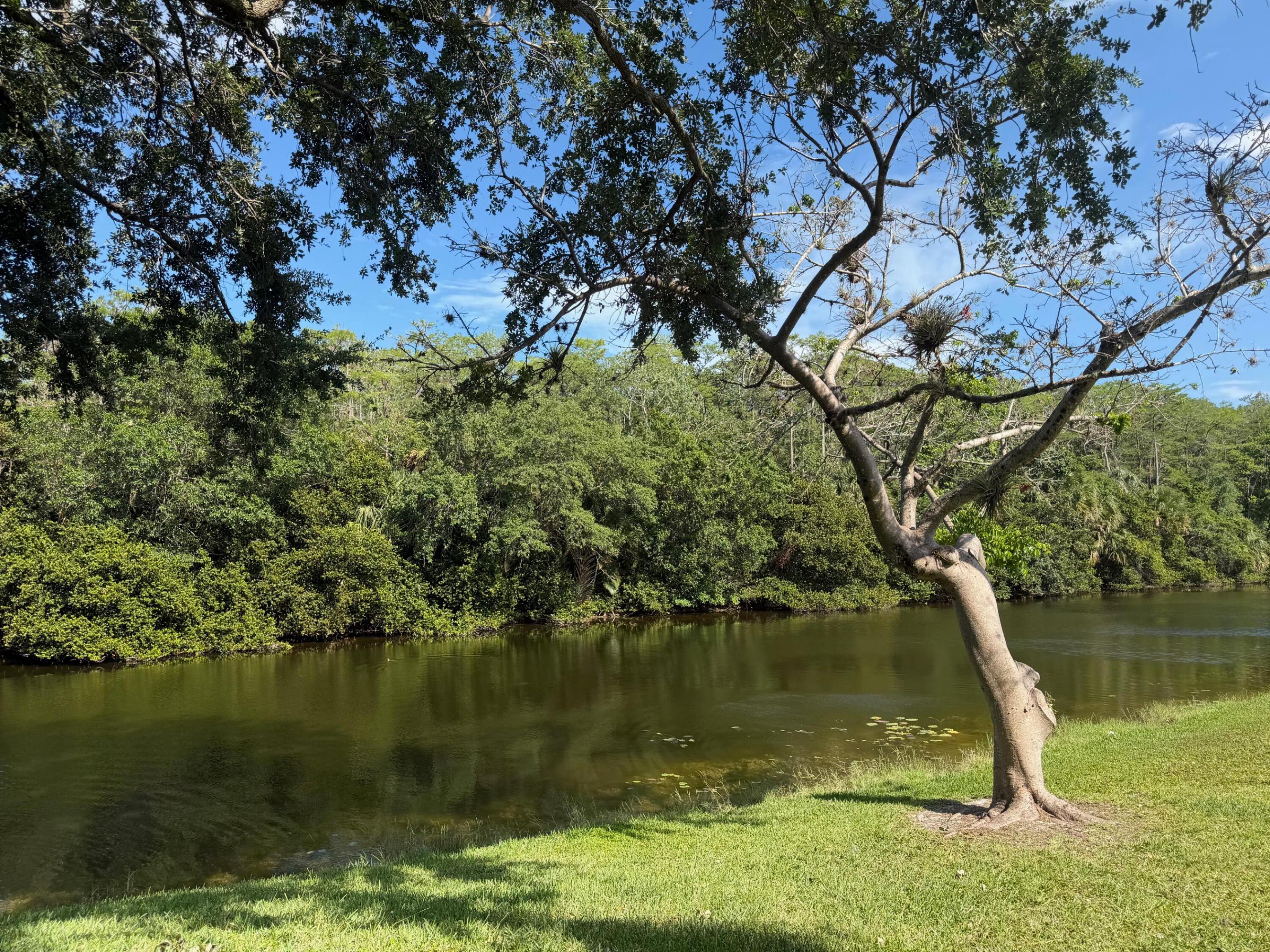 POND APPLE PLACE I CONDO - Residential