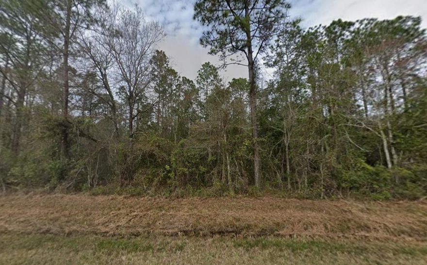 Beautiful 0.93-acre corner lot located in the growing Flagler Estates community. Power poles are already on the street, making electricity easily accessible. The neighborhood features many newer homes, offering both value and potential for future growth. Conveniently situated near Palatka, Palm Coast, St. Augustine, and just about 20 minutes from Crescent Beach, this property also provides easy access to the St. Johns River, camping, and fishing. With NO HOA, you'll enjoy the freedom to keep your RV, boat, ATV, or work truck at home. This is a rare opportunity to own a spacious lot with versatile options in a desirable and expanding area.