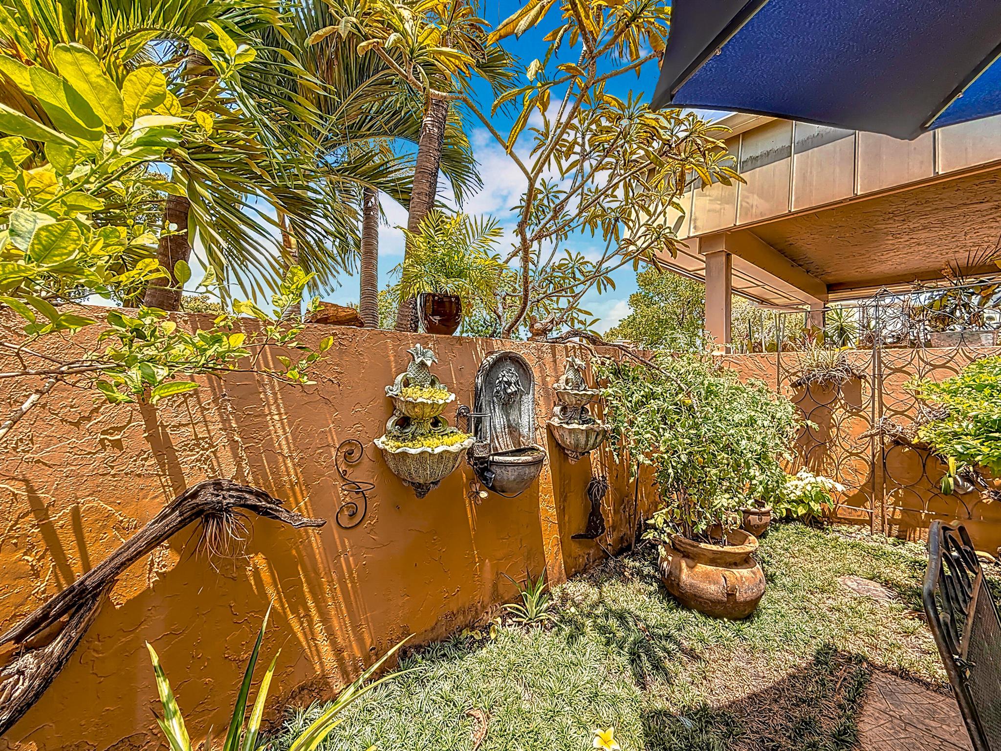 3622 Citrus Trce 2