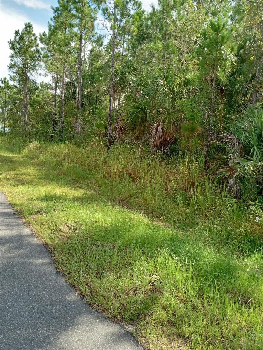 Don’t miss this opportunity to own a 0.23-acre residential lot located in a peaceful and growing area of Palm Bay. Whether you're ready to build your dream home or expand your investment portfolio, this property offers excellent potential.

Enjoy the tranquility of the neighborhood while being just minutes from I-95, shopping, dining, and recreational activities. With convenient access and room to grow, this lot is perfect for those seeking space, privacy, and long-term value in one of Florida’s fastest-developing regions.

Act now—land in this area is in high demand!