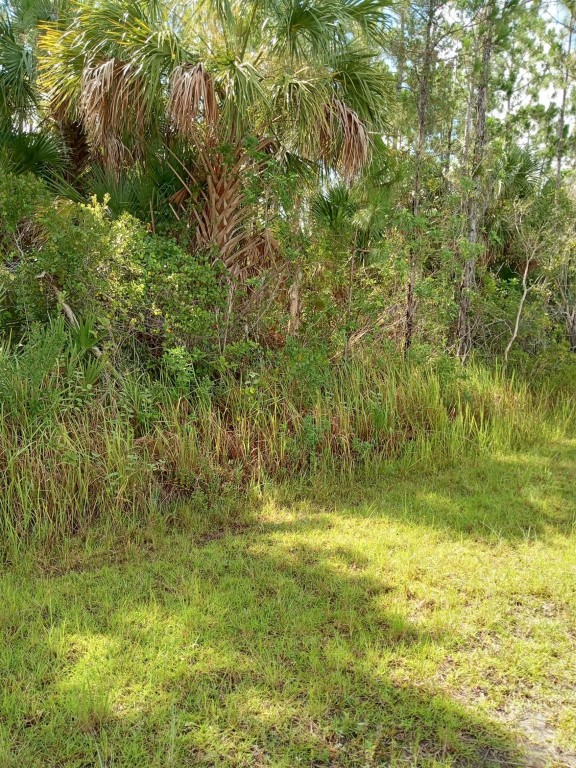 Port Malabar Unit 30 - Land