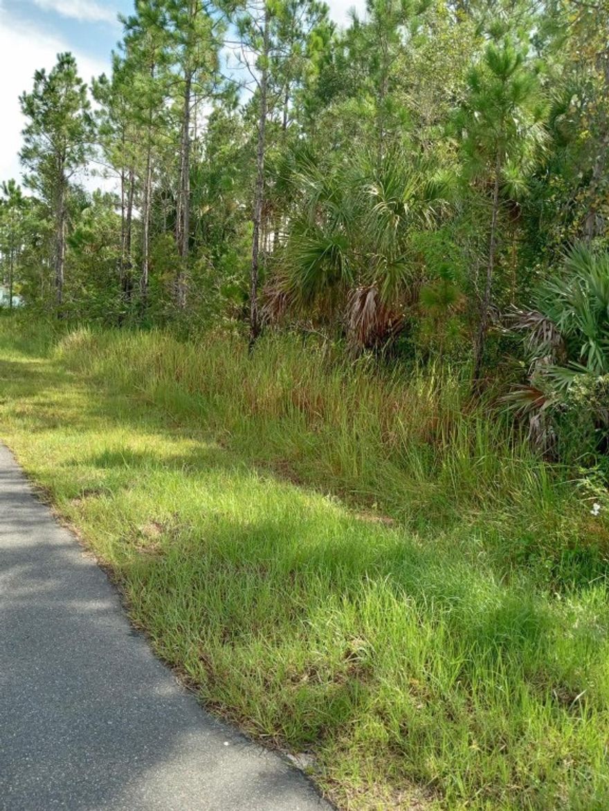 Don’t miss this opportunity to own a 0.23-acre residential lot located in a peaceful and growing area of Palm Bay. Whether you're ready to build your dream home or expand your investment portfolio, this property offers excellent potential.Enjoy the tranquility of the neighborhood while being just minutes from I-95, shopping, dining, and recreational activities. With convenient access and room to grow, this lot is perfect for those seeking space, privacy, and long-term value in one of Florida’s fastest-developing regions.Act now—land in this area is in high demand!