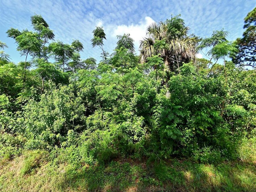 ZONE RESIDENTIALS FOR SINGLE, MULTI FAMILIESINCLUDES  LOT #24 ALL 5 LOTS FOR SALE