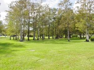 TIMBERWALK II - Residential Lease