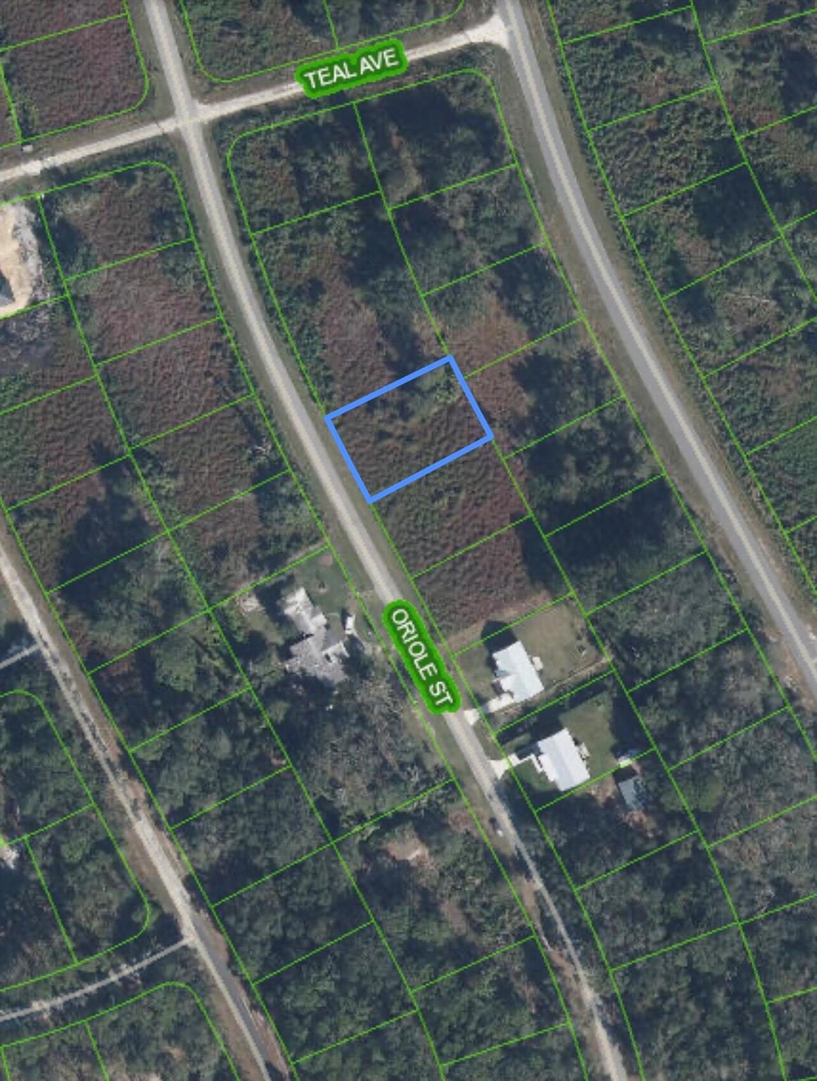 Welcome to Lake Placid _ a charming town known for its beautiful lakes and friendly community ! this .24 -acre residential vacant land is perfect for building a house or placing a modular home . Seller financing available . Buyer is responsible for verifying information and performing due diligence .