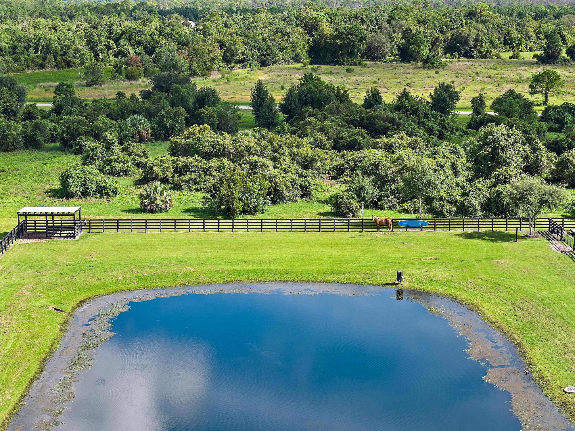 BRIDLEWOOD RANCHES - Residential