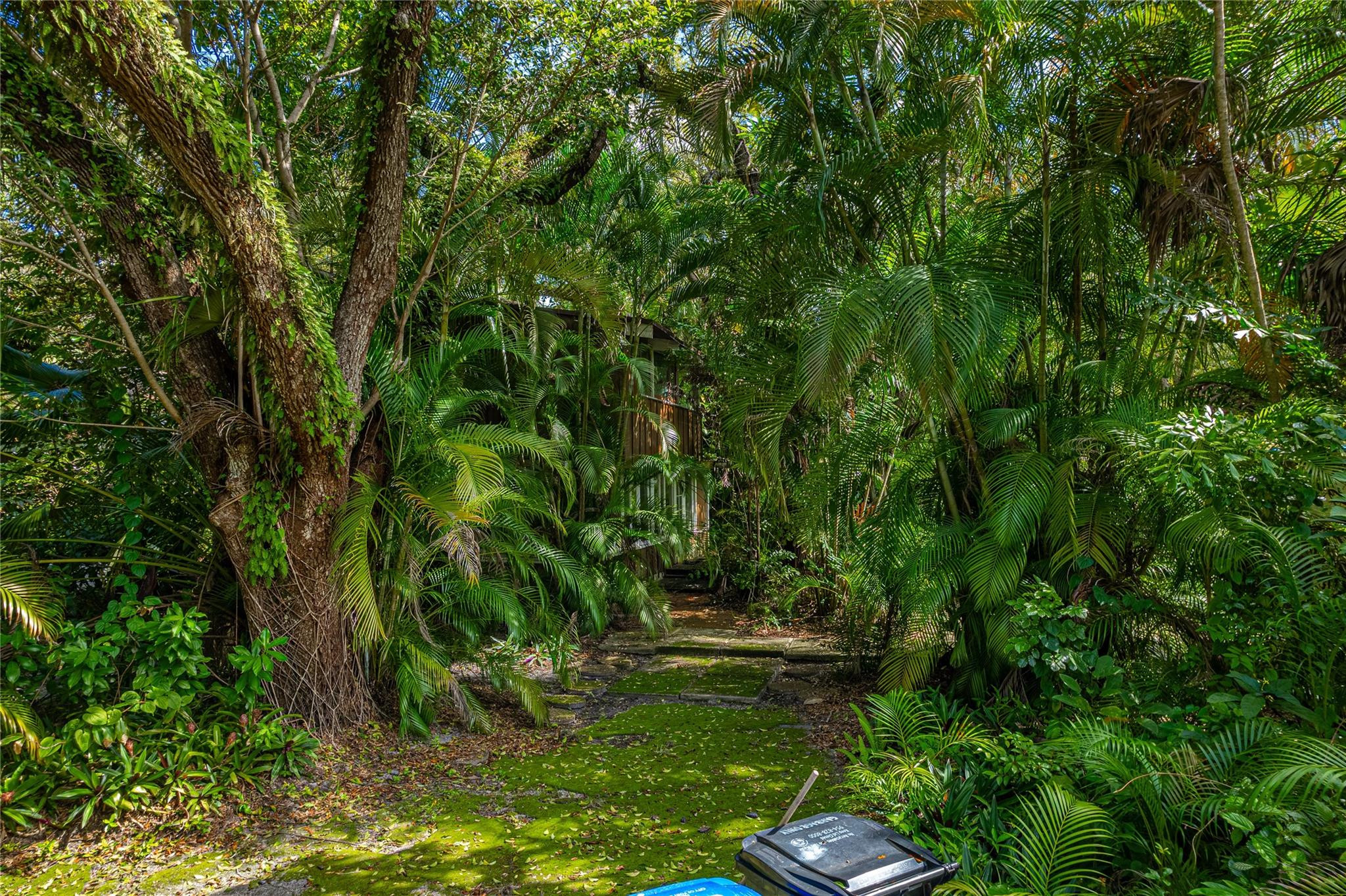 Shady Banks On New River - Land