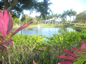 MEADOWS - Residential