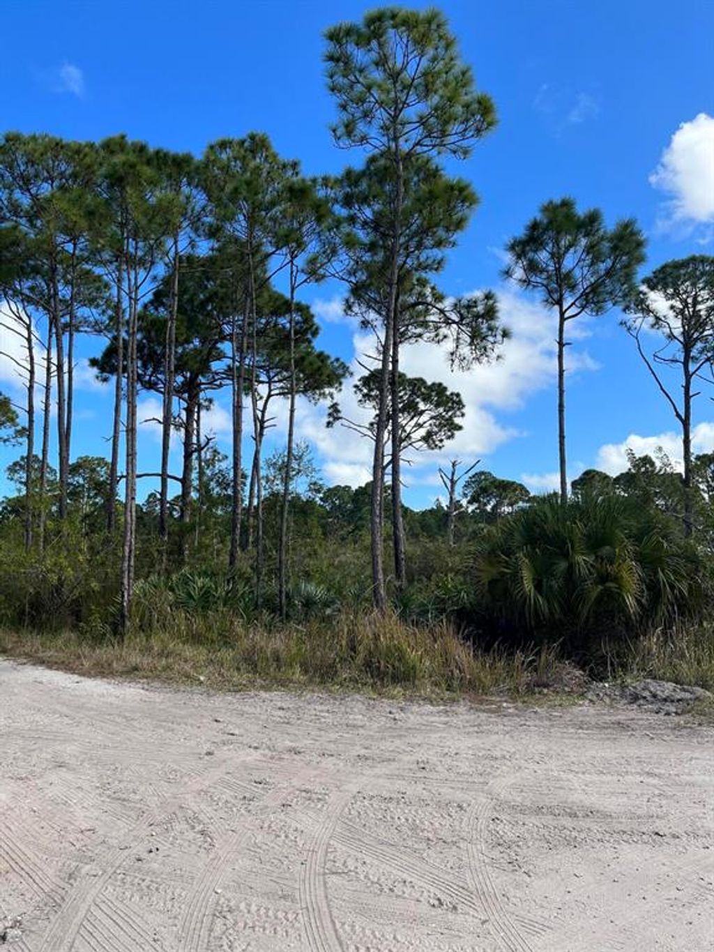 Photo of 0 Tree Top Trail, Fort Pierce, FL 34951 (MLS # R10779461)