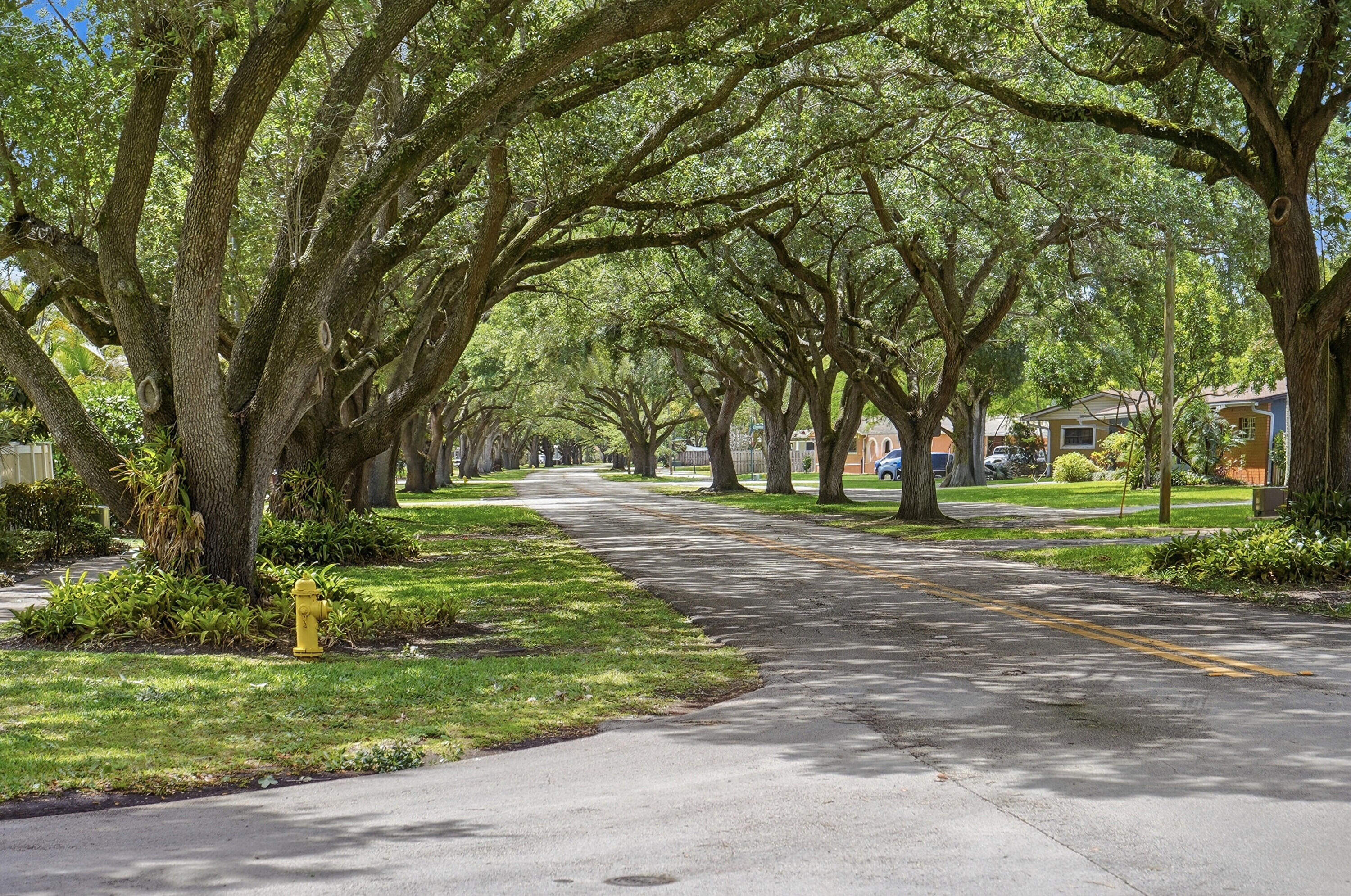 PLANTATION GARDENS 4TH SEC - Residential