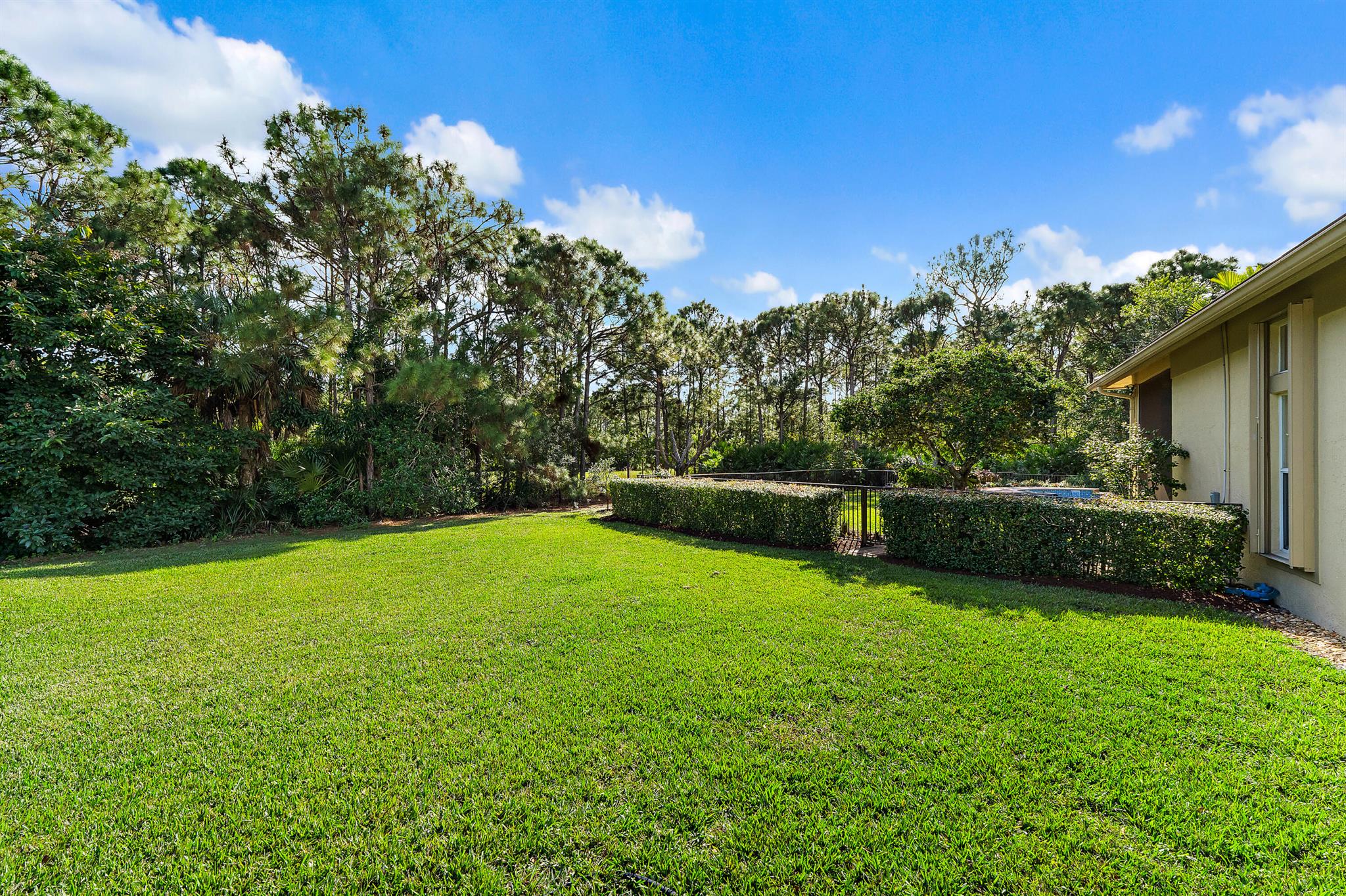 HAMMOCK CREEK - Residential