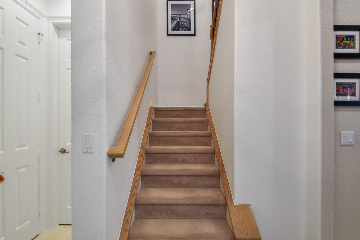 PALOMA - Residential