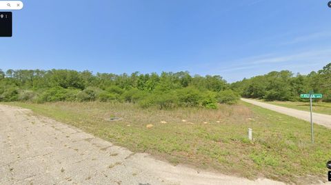 8878 N Elida Avenue Citrus Springs FL 34434