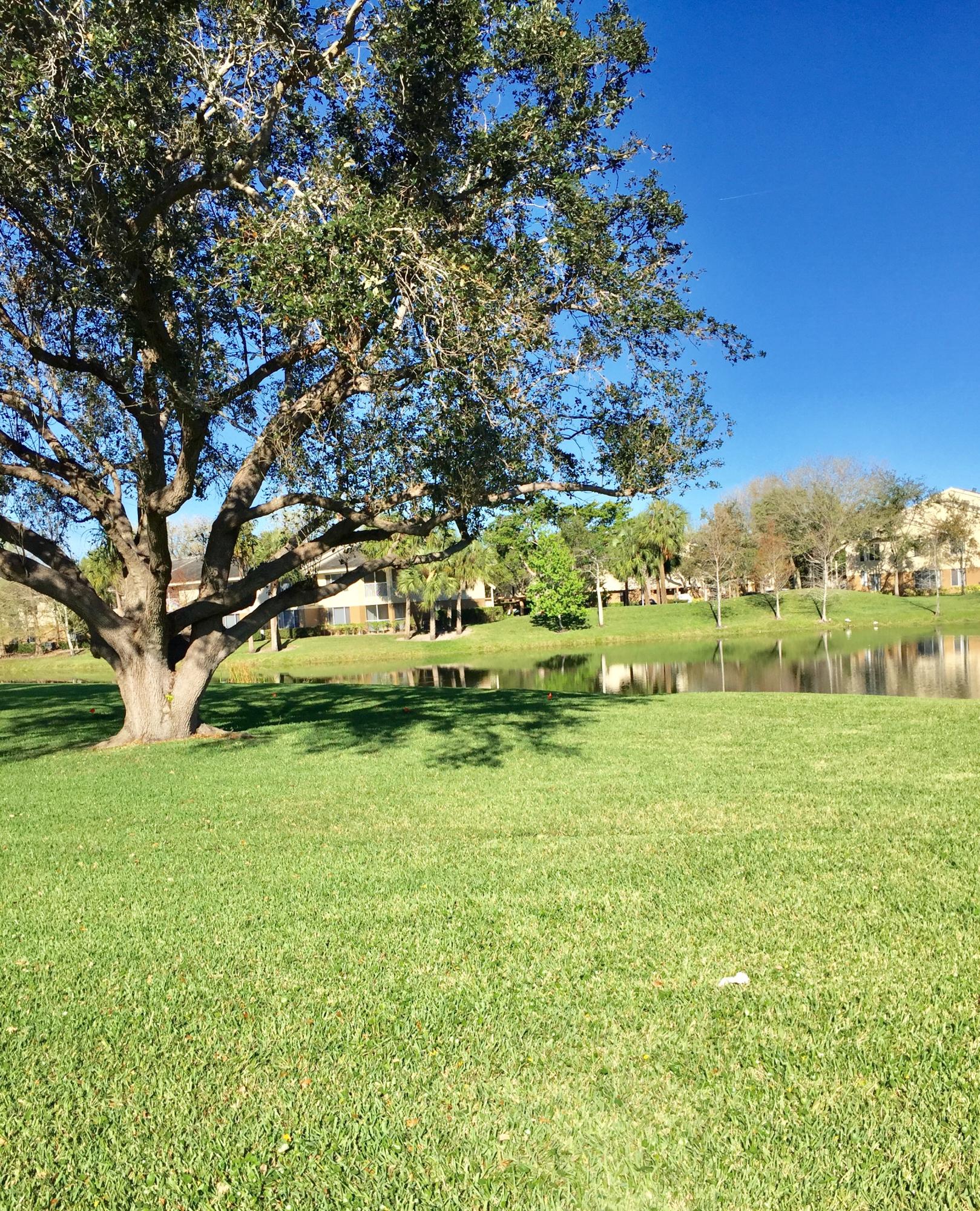 LAUDERDALE WEST 4 CONDO - Residential