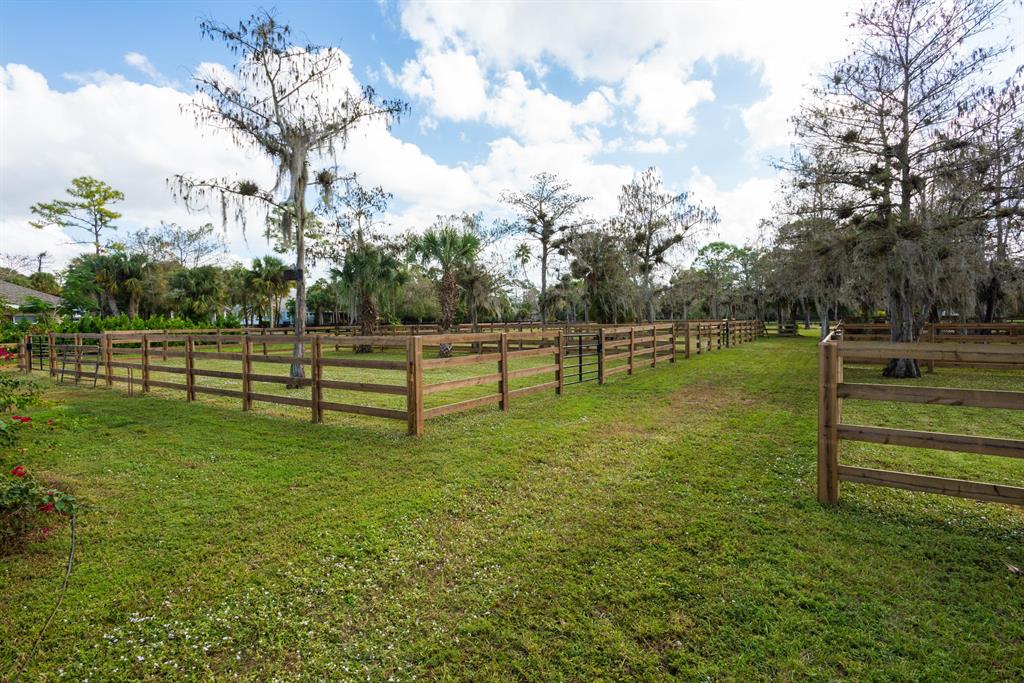 Paddock Park II - Residential