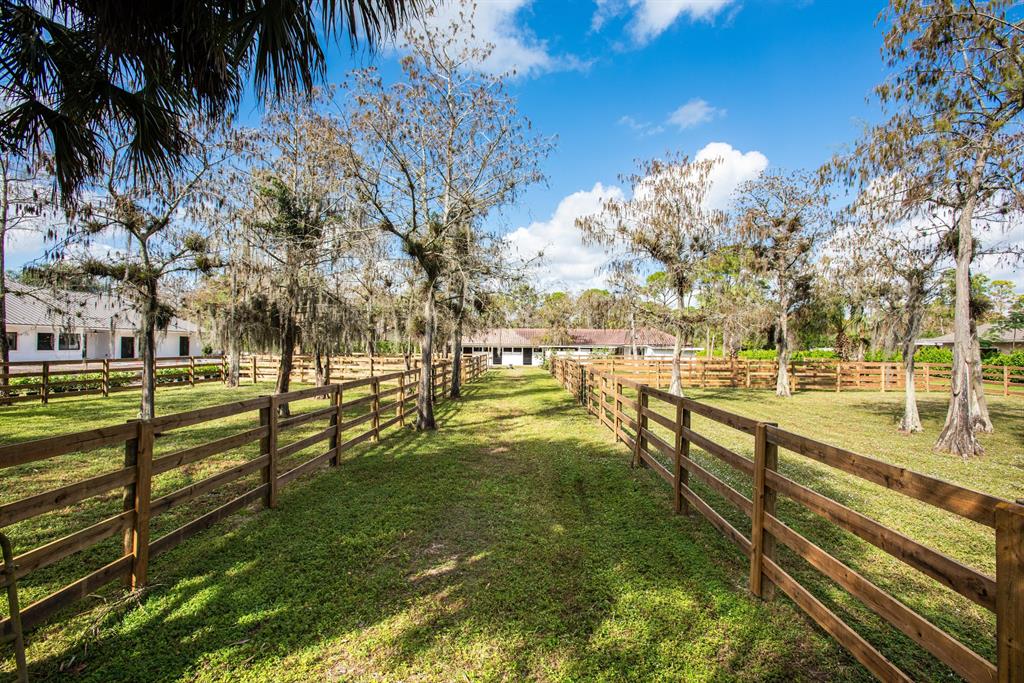 Paddock Park II - Residential