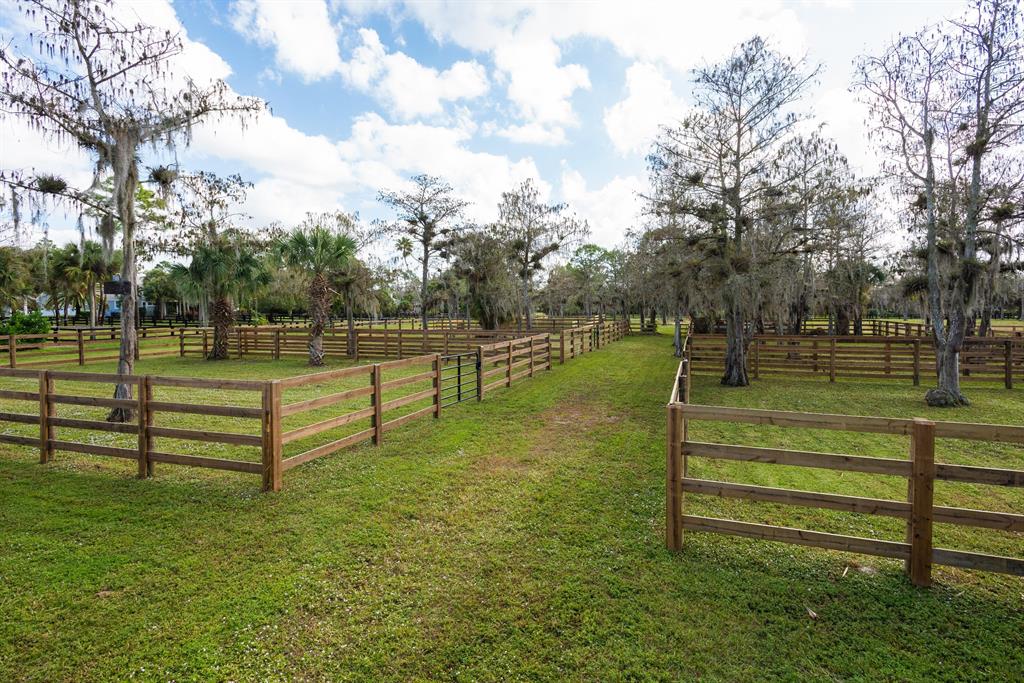 Paddock Park II - Residential