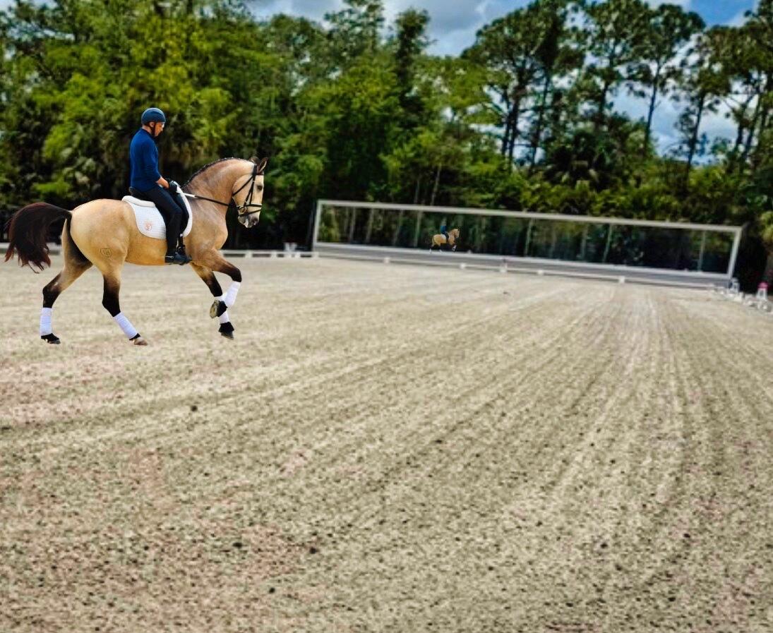 FOX TRAIL - Residential