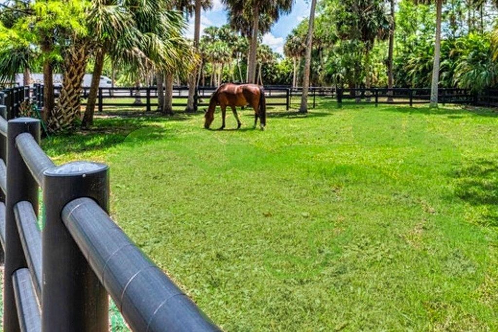 Photo of 17225 Mare Lane, The Acreage, FL 33470 (MLS # B26009514)