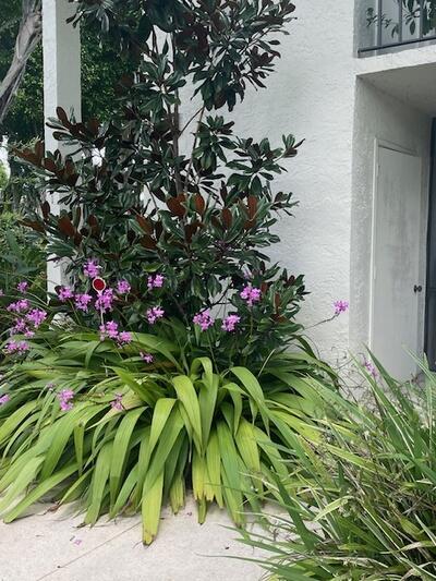 5750 Fairway Park Court 101