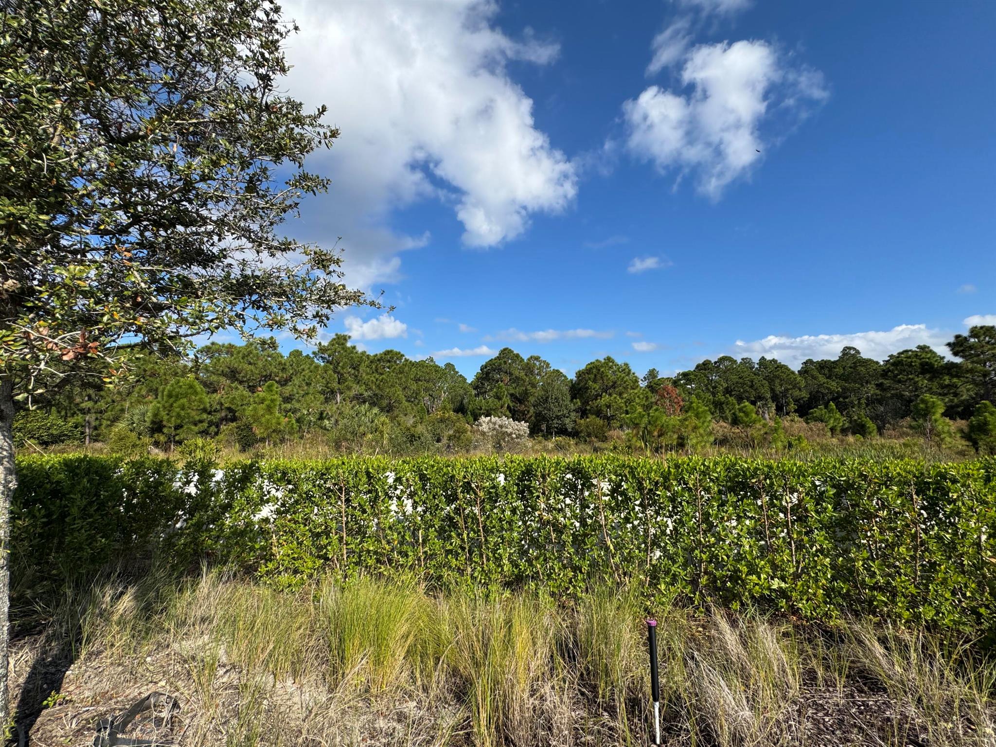 PANTHER NATIONAL AT AVENI - Land