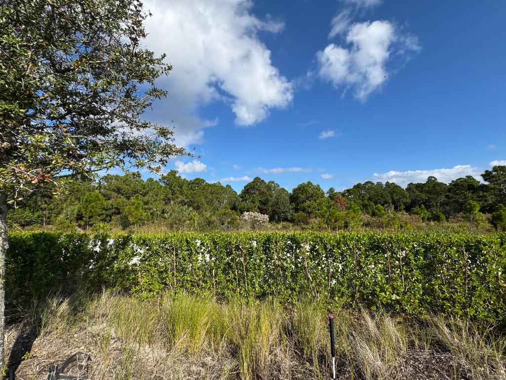 PANTHER NATIONAL AT AVENIR POD 14 LT 54 - Land