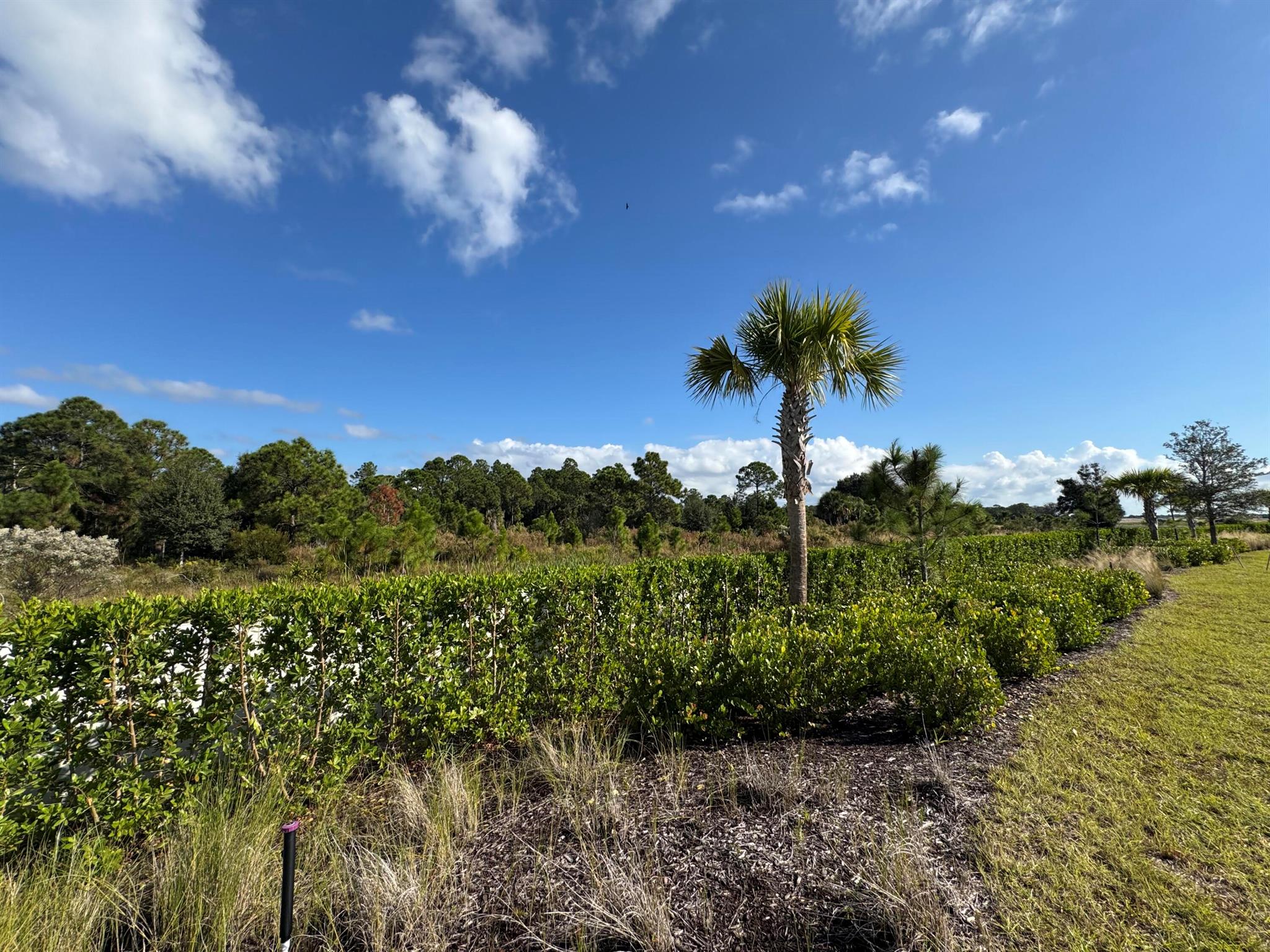 PANTHER NATIONAL AT AVENI - Land