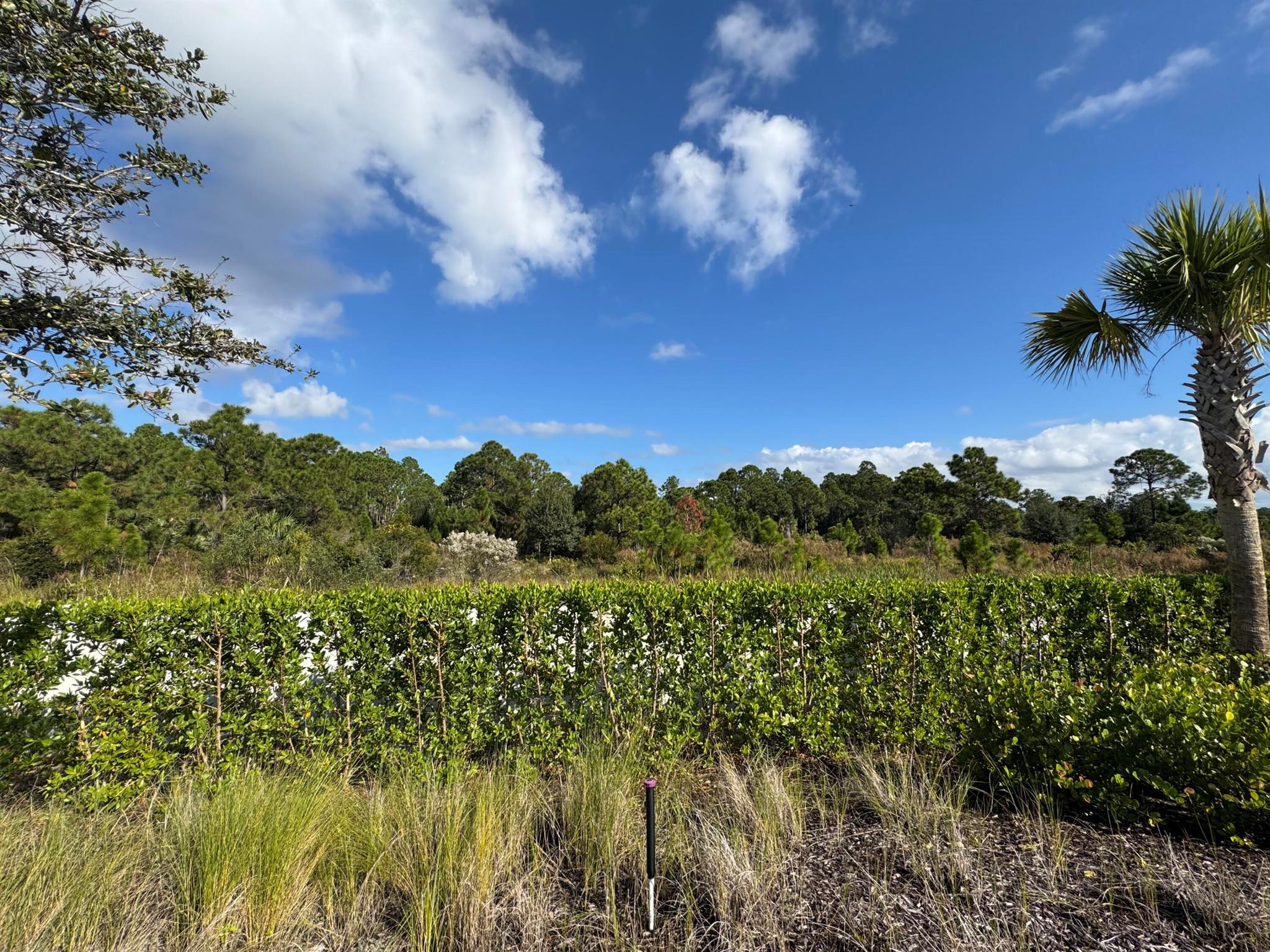 PANTHER NATIONAL AT AVENI - Land