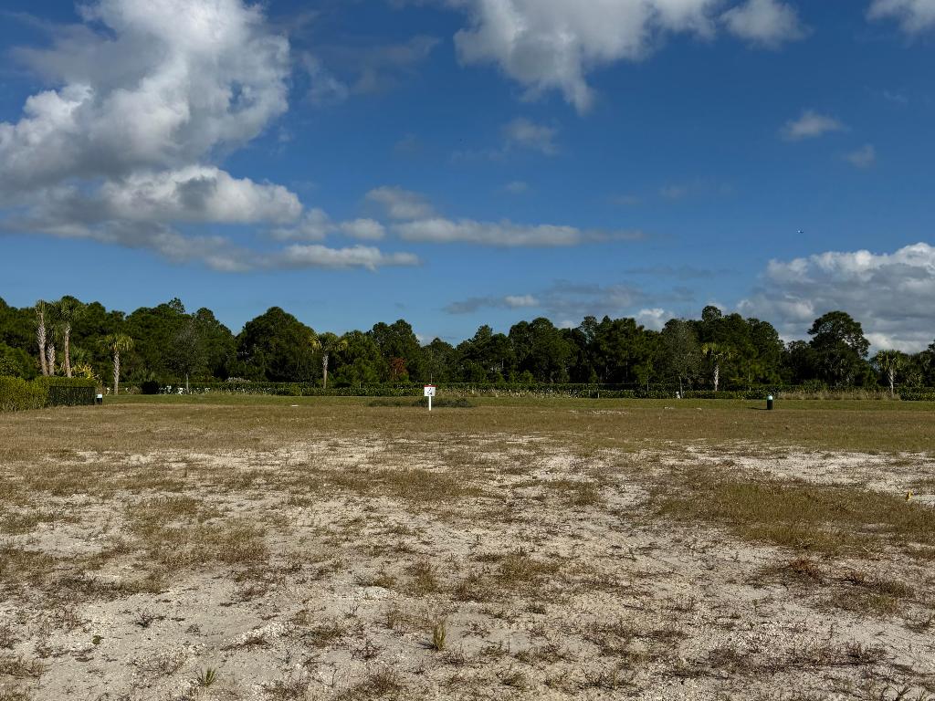 PANTHER NATIONAL AT AVENIR POD 14 LT 54 - Land