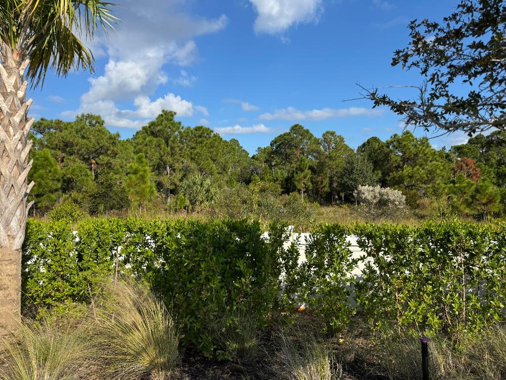 PANTHER NATIONAL AT AVENIR POD 14 LT 54 - Land