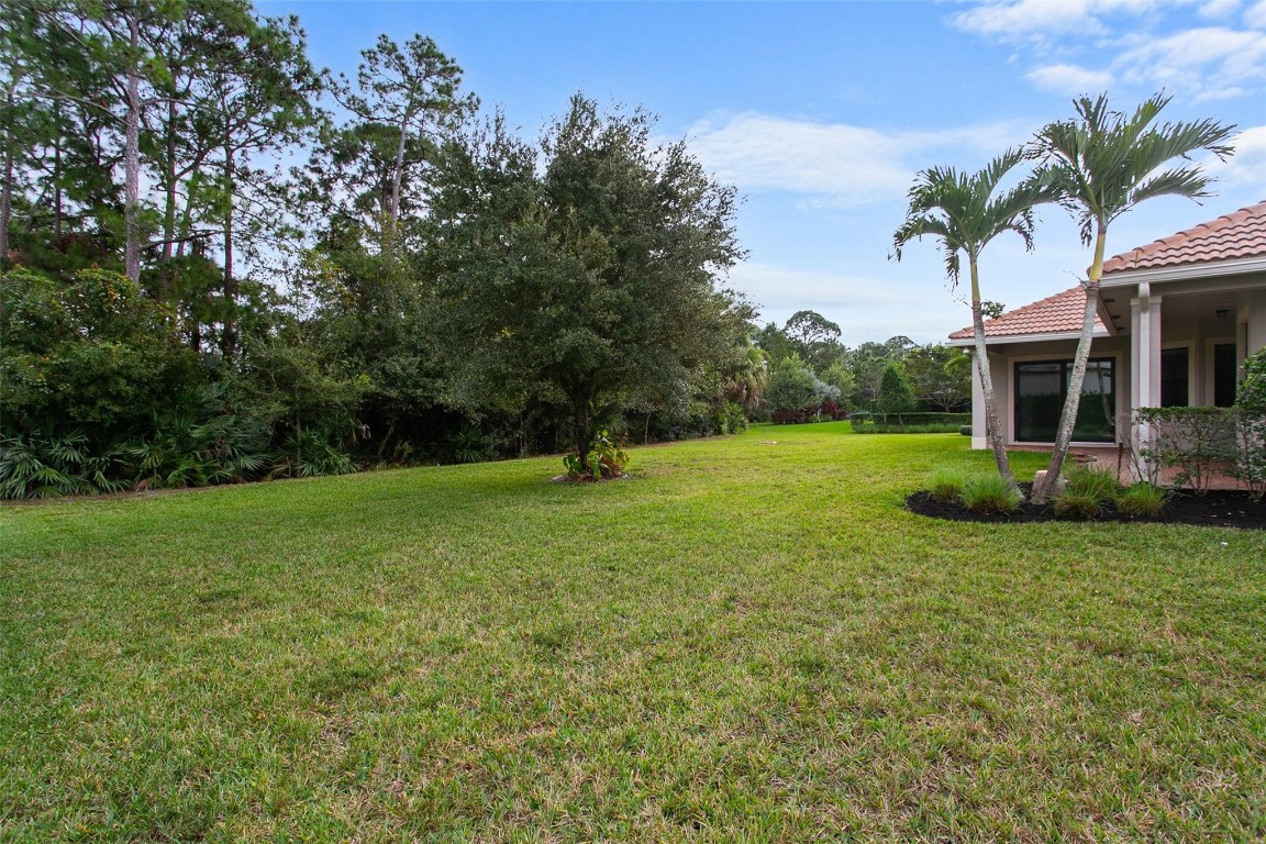 Canopy Creek - Residential