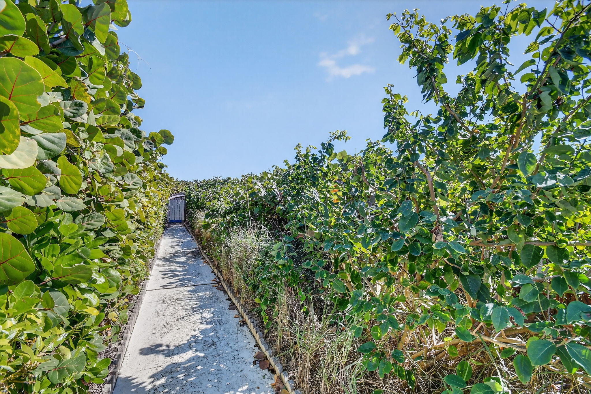 Palm Beach Shores Apts Inc - Residential