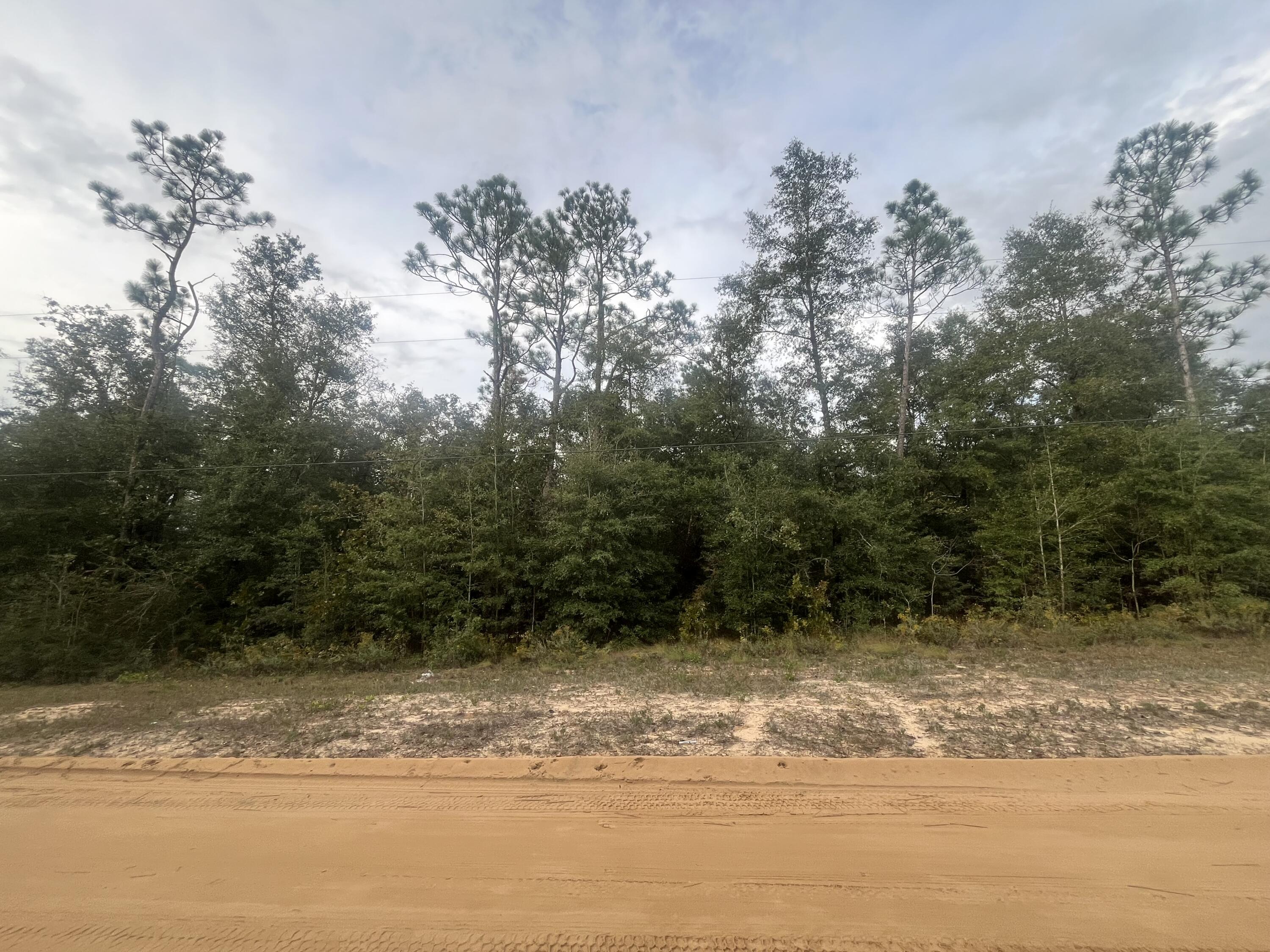 Nice wooded 2.69-acre lot offers frontage on both HWY 231 and county-maintained Crystal Springs Rd. Located along the growing Highway 231 corridor, it provides easy access to Panama City, Alford, Youngstown, and some of Northwest Florida's most beautiful natural springs. Electric is available at the street, and the buyer will need to install well and septic. With no wetlands on the property and flexible building options, this lot allows for traditional, modular, or mobile homes, along with accessory structures like garages, barns, and workshops. Positioned near Tyndall AFB and Panama City Beach Airport (ECP), this lot is ready for your RV, dream home, or weekend getaway in North Bay County!