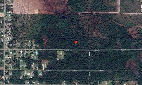 1016 Hyacinth Avenue Avenue Sebring FL 33875