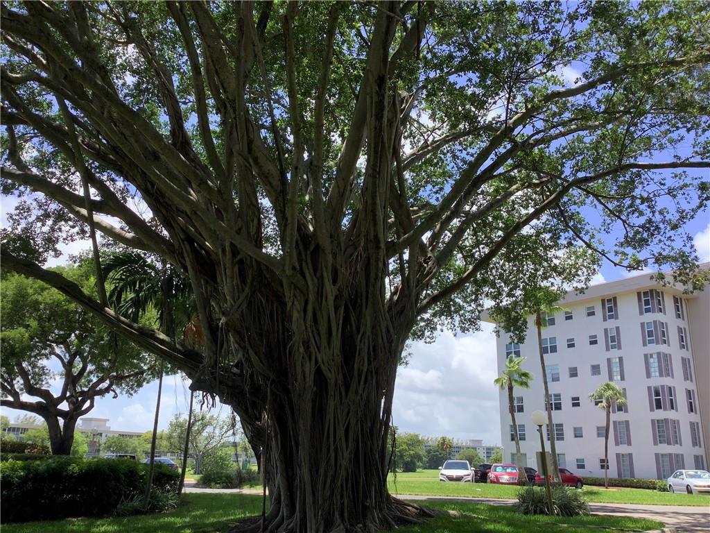 Palm-Aire Country Club - Residential