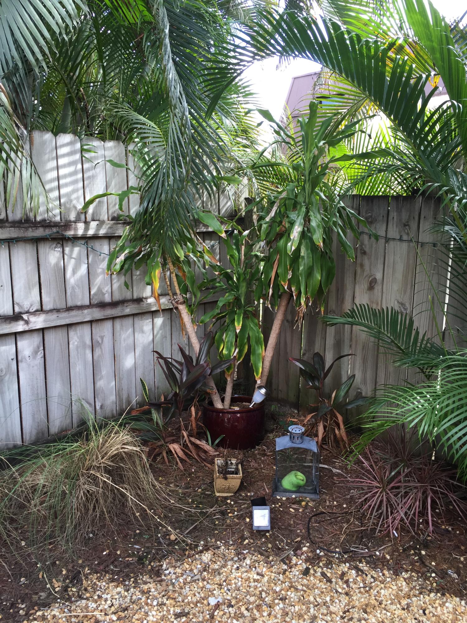 CEDAR GARDENS TOWNHOUSES - Residential Lease