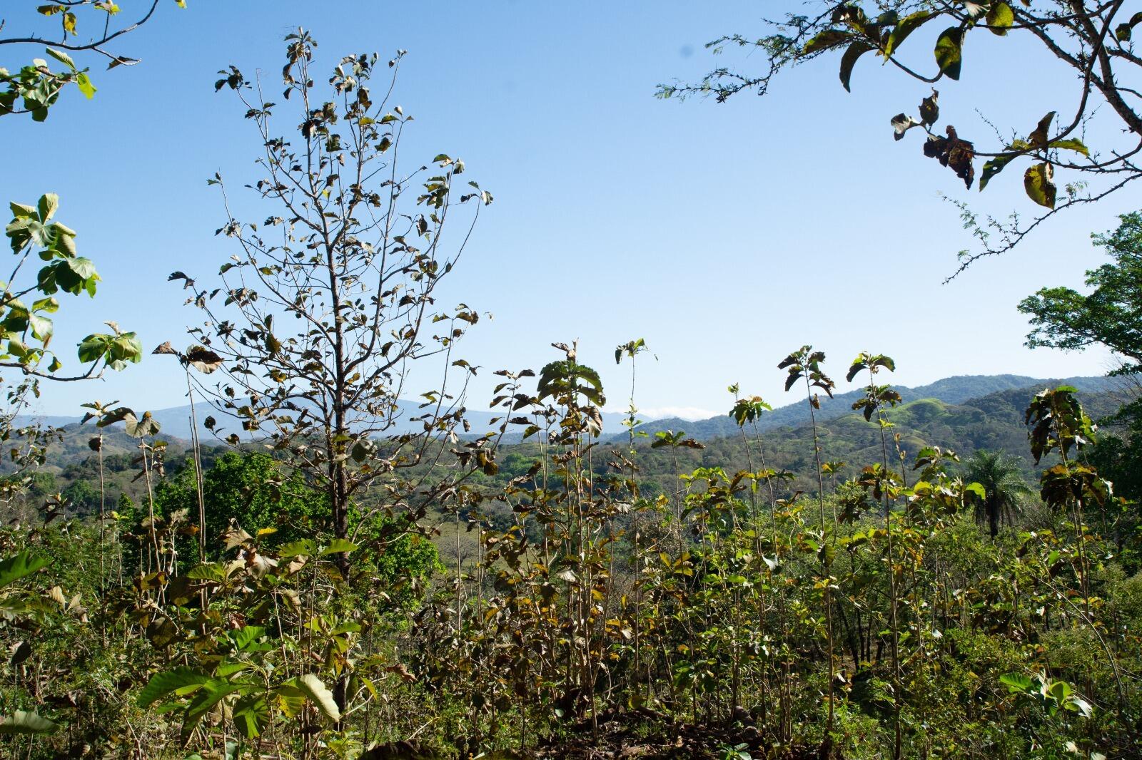 136 Puriscal, Picagres, Costa Rica