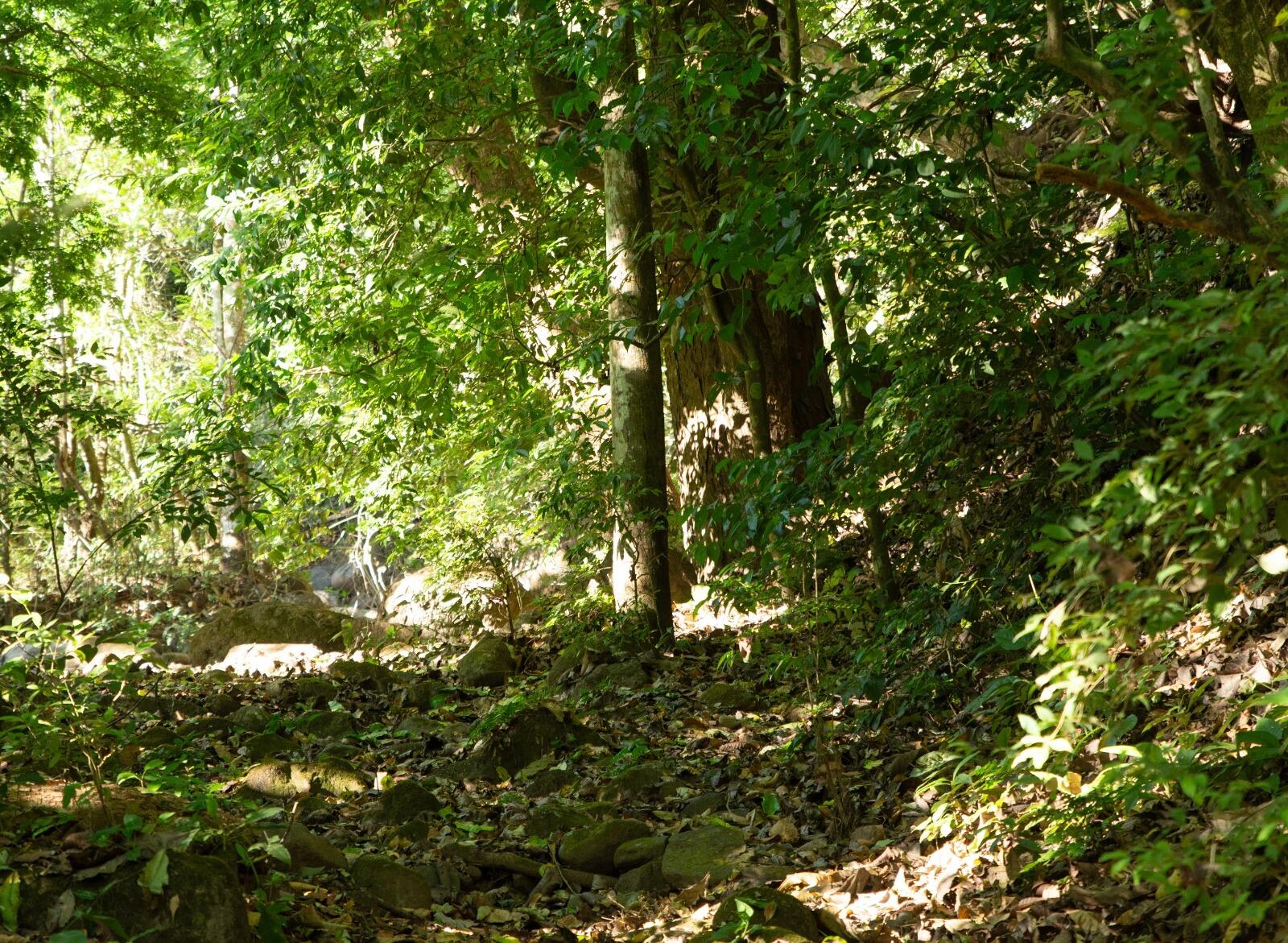 Provincia de  San Jose, C - Residential