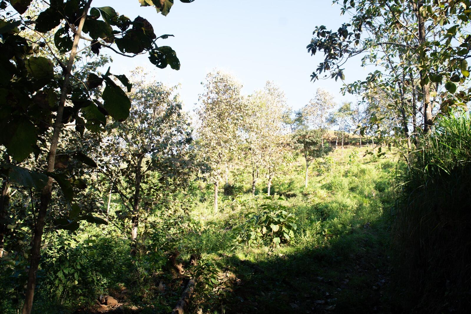 Provincia de  San Jose, C - Residential