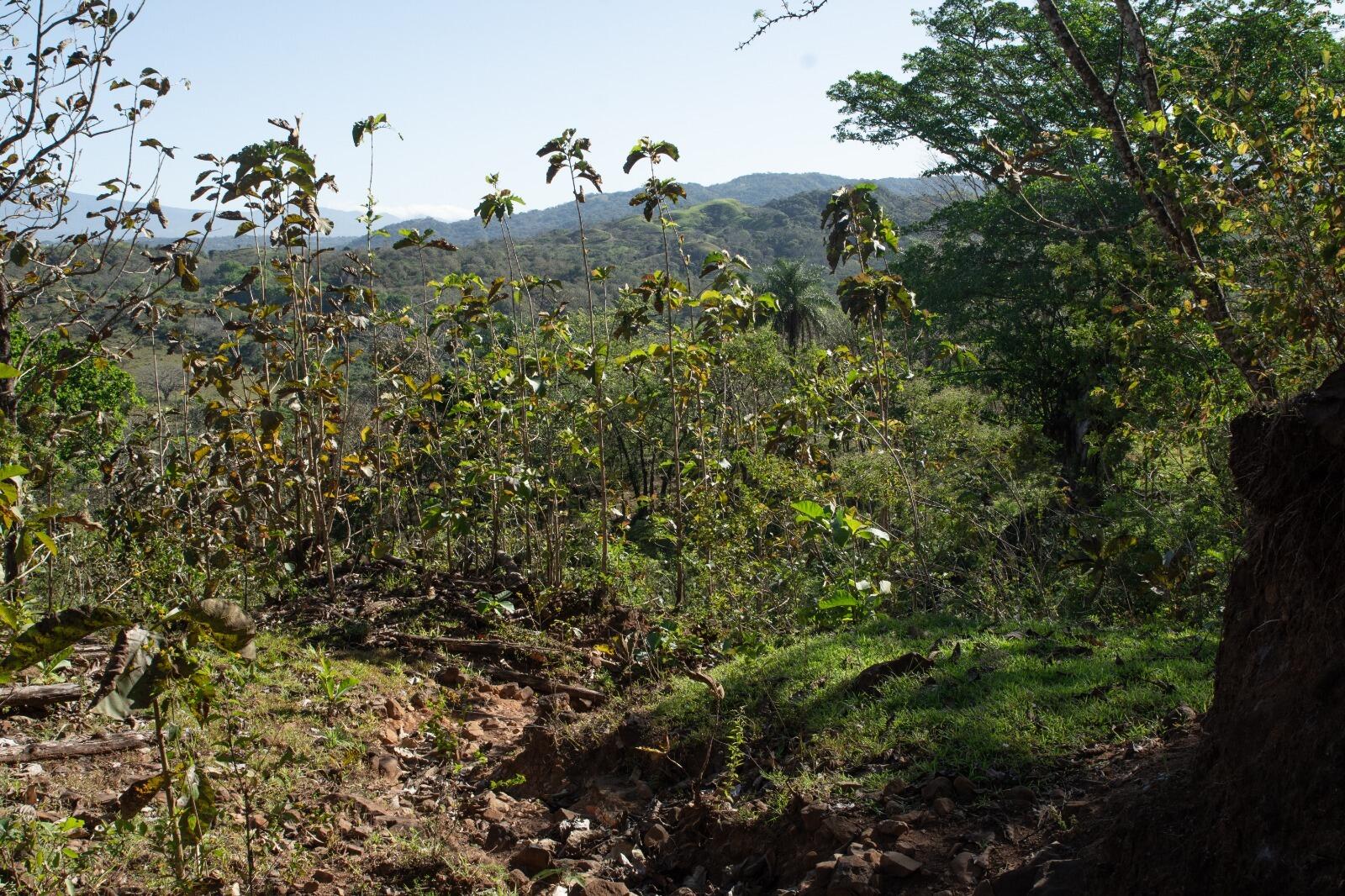 136 Puriscal, Picagres, Costa Rica