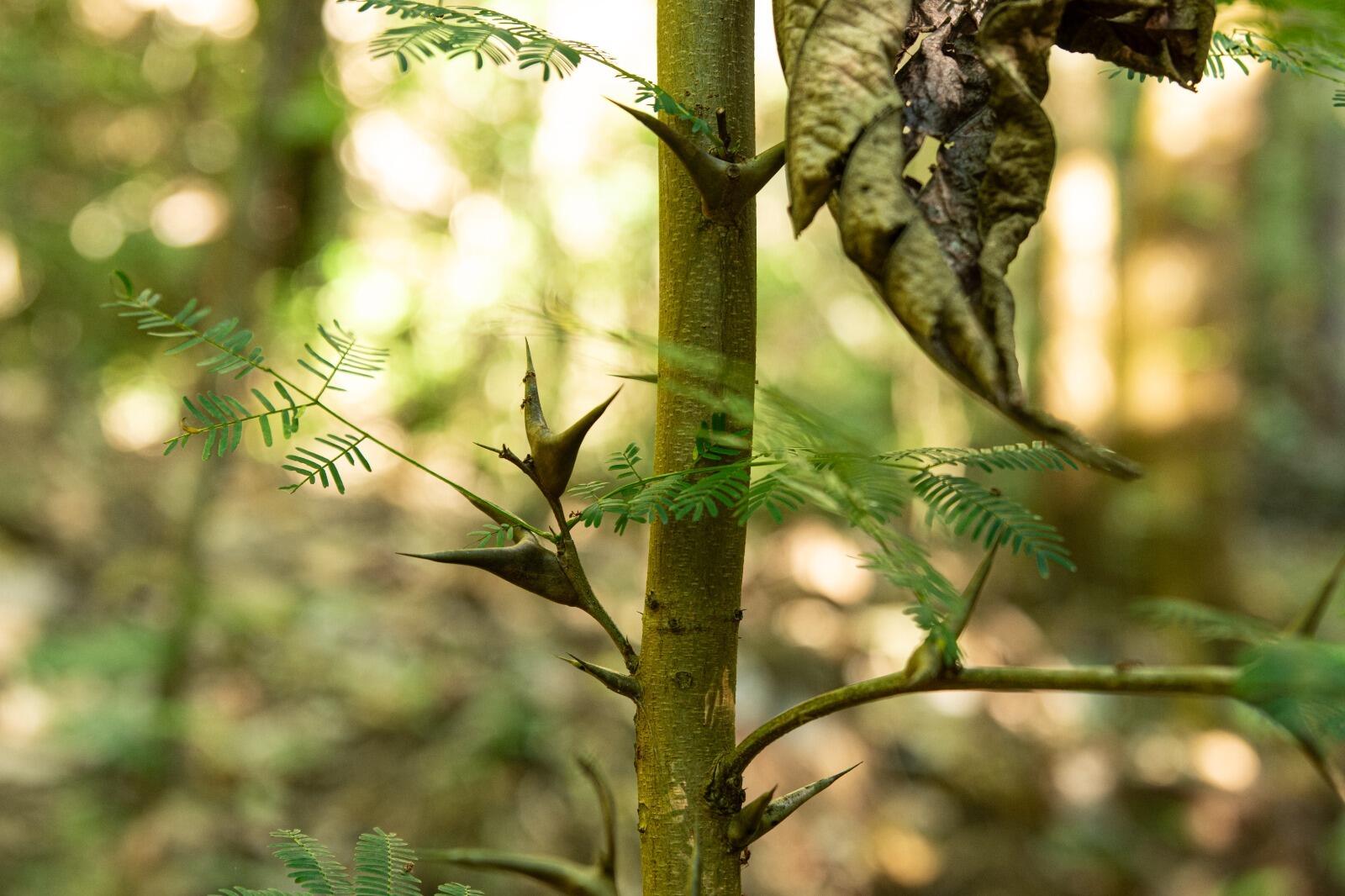 Provincia de  San Jose, C - Residential