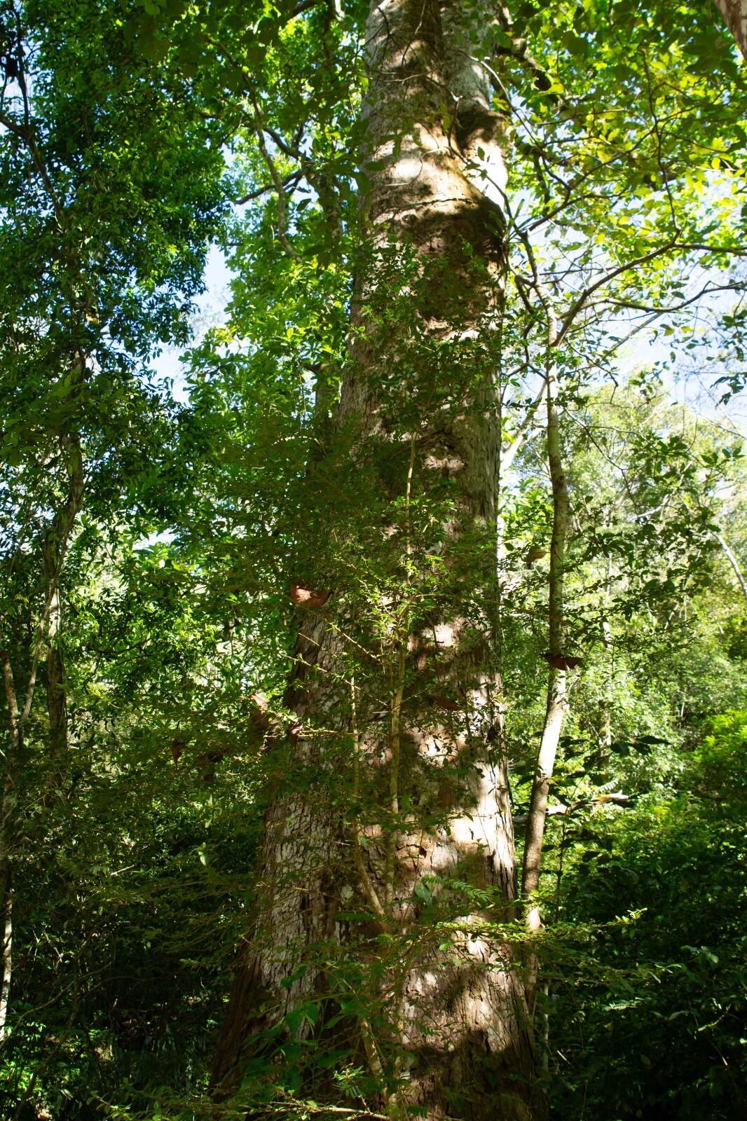 Provincia de  San Jose, C - Residential