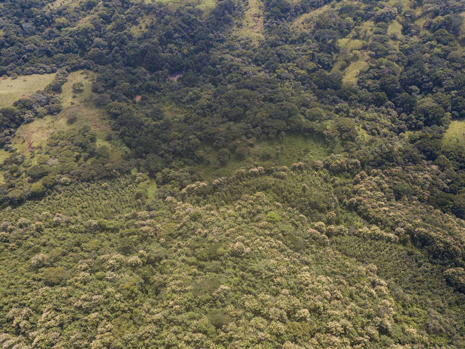 Provincia de  San Jose, C - Residential