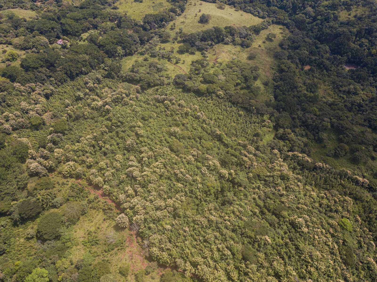 Provincia de  San Jose, C - Residential