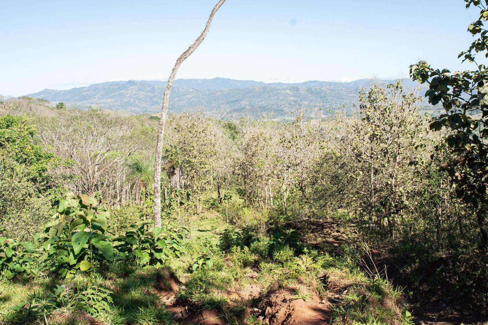 136 Puriscal, Picagres, Costa Rica