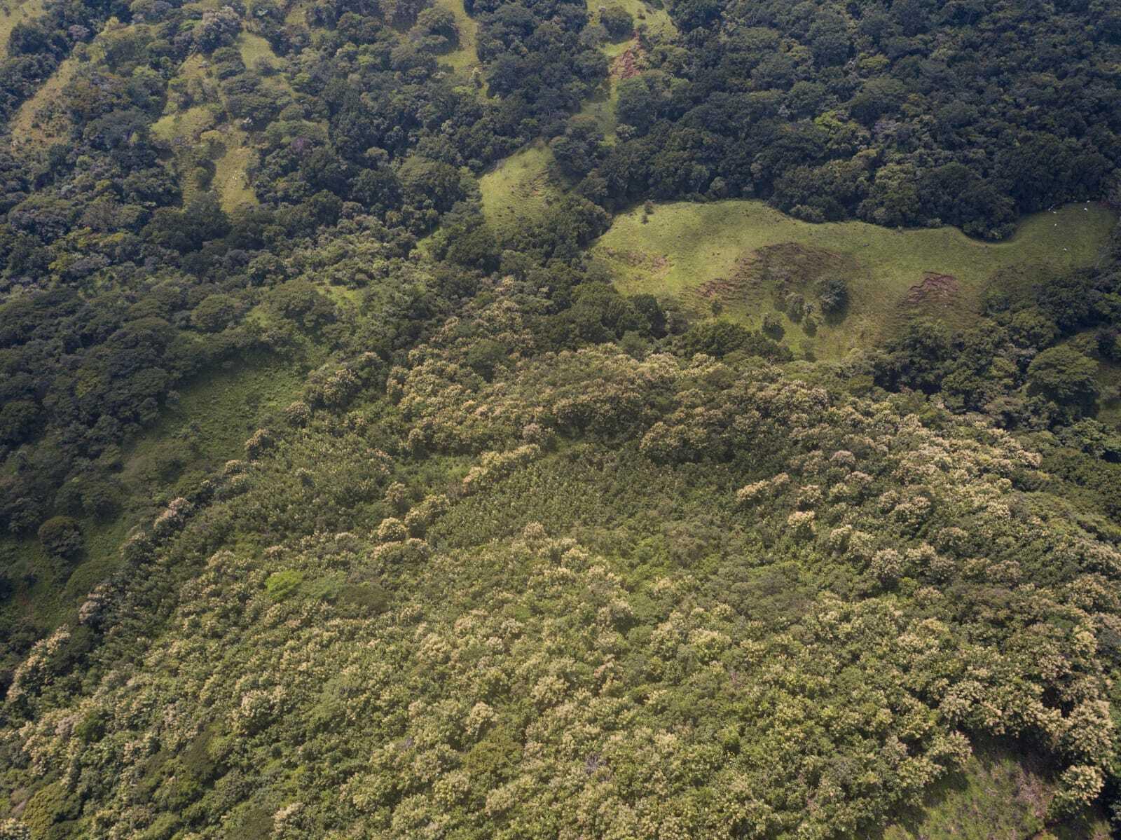 Provincia de  San Jose, C - Residential