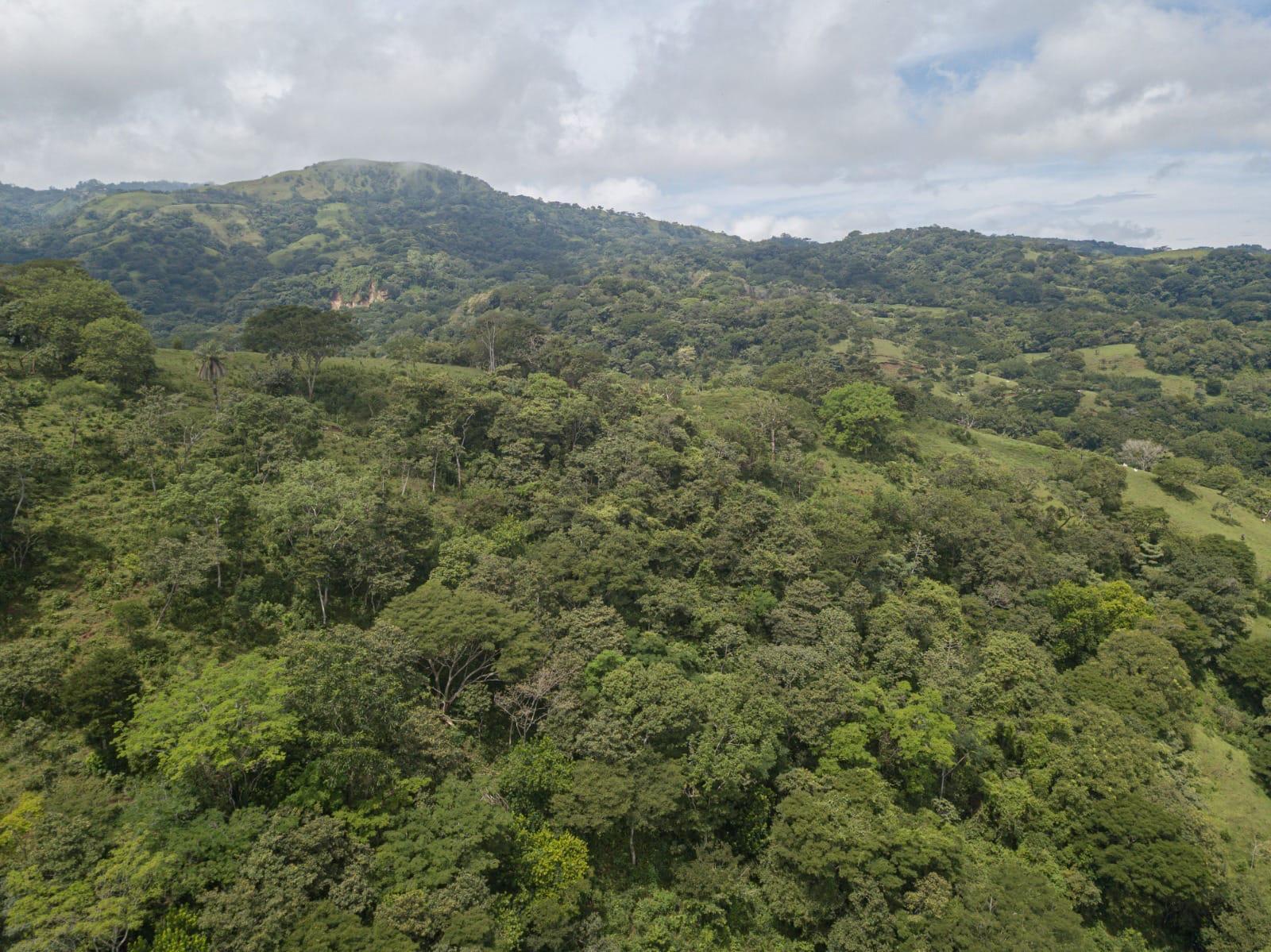 Provincia de  San Jose, C - Residential