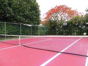 Bike - Jog - Residential Lease