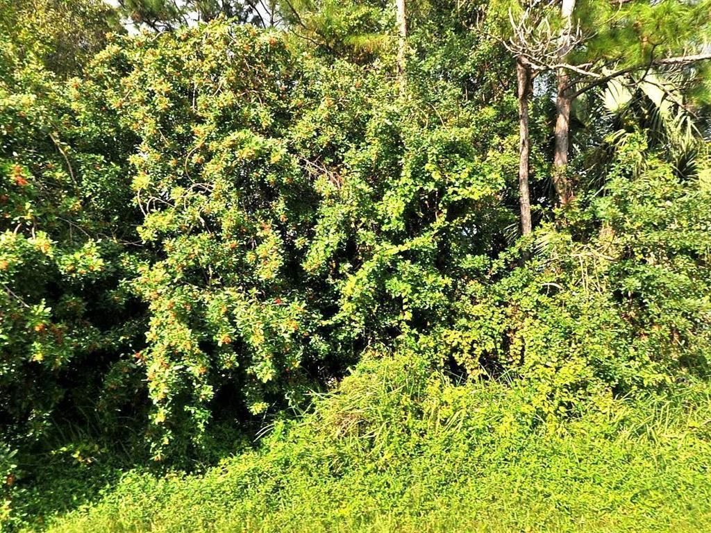 Photo of 1225 SW Bargello Avenue, Port Saint Lucie, FL 34953 (MLS # R10709521)