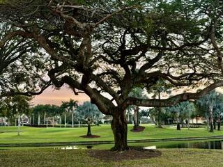 2518 2518 Coco Plum Blvd. 1202